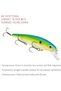 KVD Jerkbait 3 Hook - 4