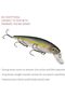KVD Jerkbait 3 Hook - 4