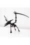 Puzzle Lemn 3D - Skeleton Pterosaur - 3