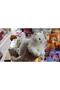 Toy Plush Cute Snow White Cat with Colorful Eyes 22 cm - 2