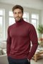 Men's Half-Throat Sweater Turtleneck Stretchy Fabric Regular Fit Knitwear - 7