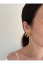 Steel Luda Earrings - 2
