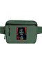 Alice Cooper the Belt Bag Green Color