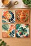 Glass Coaster |   Sun, Moon and Botanical Themed |   4-Piece Set |   10cm X 10cm - 4