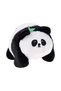 Înregistrări Interactive Panda - 2