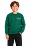 29810-26 Boy's 3 Thread Yarn Embroidered Tomorrow Printed Crew Neck Sweatshirt 9-12 Years - 2