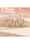Art Bay Rose Gold Earrings