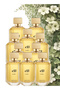 10 قطع Laki Perfume 100 مل