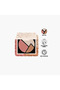 Character Trio Touch Bronze Blush-Highlight Palette 8.2gm - 6