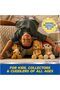 PAW Patrol Skye Hugging Kai Plush, 9.5 Inches - 4