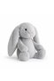 Gray Rabbit - 2