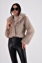 Collared Crop Boy Jacket - 4