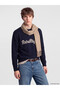 Esvab • Modern & Distinctive Zero Roba Collar Embroidered Men's Knitwear Sweater