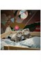 Pallas Cat, 31cm Gray Soft Toy - 2