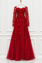 🌹   Model Name: Royal Red Rubi Dress - 2