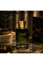 عطر بارجيلو ساحل ألكيمي Sahel Alchemy للجنسين — مجموعة نيش إليغانس — 50 مل إكستريه دي بارفوم - 2