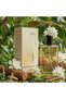 عطر بارجيلو No.164 للنساء — 50 مل EDP