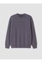 Özmarka New Season Gray Crew Neck Printed Men's Sweatshirt