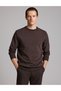 Dark Brown Regular Fit Crew Neck Sweatshirt 50332670-Vr084