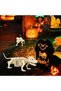 Halloween Dog Skeleton Decor, Realistic Plastic Puppy Skeleton Prop with Movable Jaw, 49cm Animal Bone Ornament for Haunted House, Graveyard, Indoor & Outdoor Halloween Yard Party Decorations - 3
