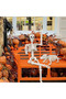 Halloween Dog Skeleton Decor, Realistic Plastic Puppy Skeleton Prop with Movable Jaw, 49cm Animal Bone Ornament for Haunted House, Graveyard, Indoor & Outdoor Halloween Yard Party Decorations - 4