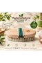 Three Types of Skin Care Set (Horsehair Cellulite Brush+Goathair Face Cleaning Brush+Cactus Grass Nail Care Brush) Wooden Handle - 4