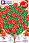40 Happy New Year Balloons Red Green 31 cm – New Year Decoration - 2