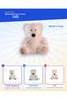 60 cm Sitting Bear White 6190 - 2