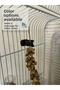 Bird Cage Branch Millet Holder - Vegetable Holder - 2 Piece Set Bird Feeder - 2