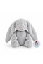 Gray Rabbit - 5