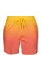 Men's Swimwear Cbmvph13-Hcl