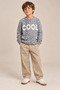 Boy's Patterned Knitwear Sweater (c19-ag50374)