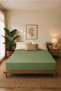Premium Jersey Olive Green Fitted 100% Cotton Combed Single/Double Elastic Bed Sheet