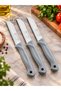 Solingen Silvery Fruit and Vegetable Knife with Serrated Holes, 3 Pieces