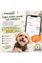 Shiny Waterproof Dog Coat Winter Pet Coat - 2