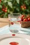 X Bengi Kurtcebe Tomato Patterned Set of 2 Water Glasses 350 Cc