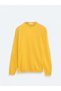 Mustard Crew Neck Plain Knit Sweater - 5