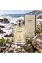 100ml Eau de Parfum perfume spray, Oriental Note Style fragrance with decorative bottle and box. Elegant vanity table scent for daily personal use, birthday & travel gift, and home fragrance display.