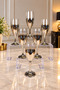 Set of 6 Silver Colored Titanium Coated Glass Cups