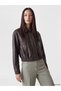 Jackets - Multicolor - Regular fit