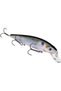 KVD Jerkbait 3 Hook