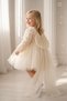 Baby Girl Kids Dress Long Sleeve Bowknot Rose Birthday Party Wedding Special Occasion Evening Dress Girls' Dress 1-5 Years - 7