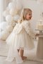 Baby Girl Kids Dress Long Sleeve Bowknot Rose Birthday Party Wedding Special Occasion Evening Dress Girls' Dress 1-5 Years - 3