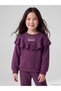 Crew Neck Ruffled Embroidered Girls' Tracksuit Set - 2
