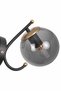 Sienta Black Antique Smoked Glass Sconce - 4