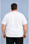 Oversize Large Size Basic 100% Cotton Crew Neck T-Shirt - 2
