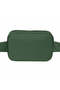 Black Label Society Order of the Black Belt Bag Green Color - 2