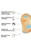 3x Pachet Mic Original - Dinozauri - 5