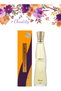 12 قطعة عطر 100 ML - 2