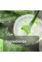 Crop Preserver®, Friction-Reducing Intimate Deodorant Lotion, Men's Hygiene and Moisturiser with Soothing Aloe Vera, 4 oz (1 Pack) - 6
